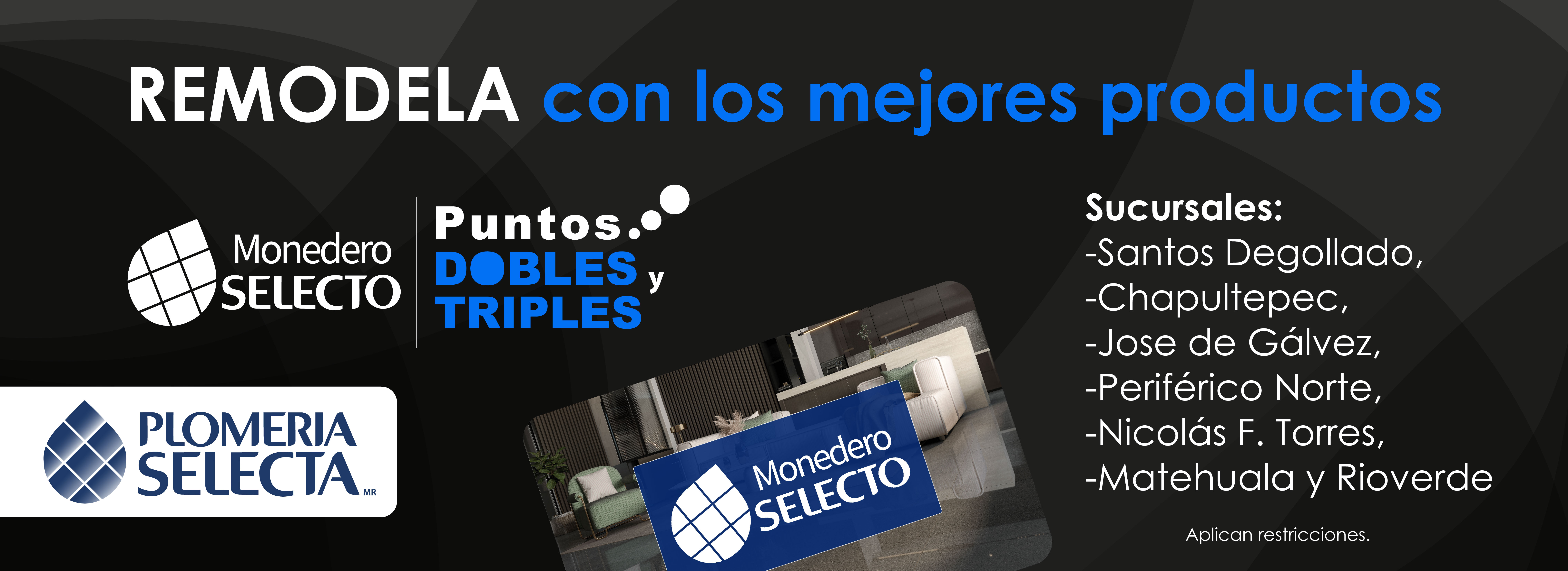 Plomeria selecta banners